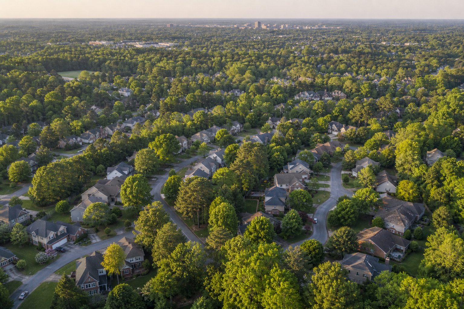 Aerial concept image of a green suburban Triangle-region North Carolina neighborhood